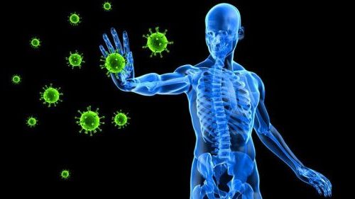 CBD protects the immune system